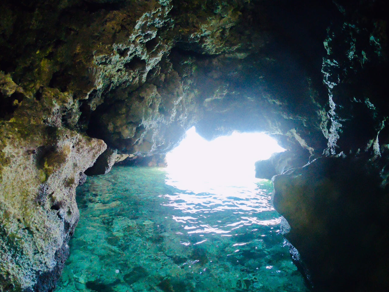 石垣島洞窟
